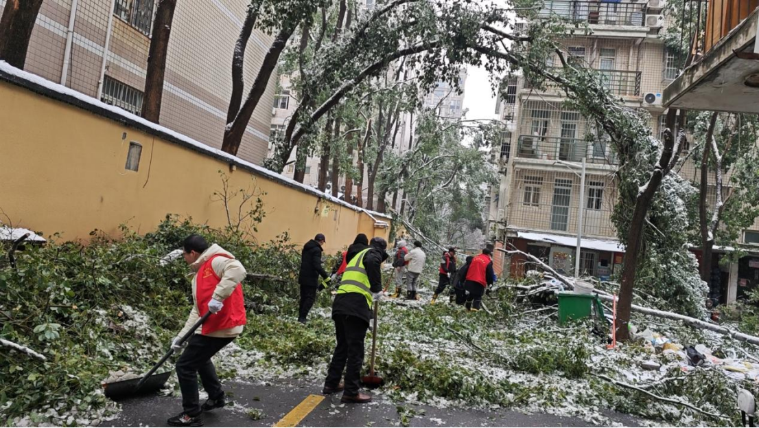 尊时凯龙·Z6(中国区)人生就是拼搏!