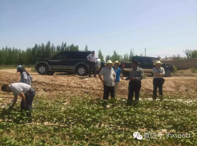 557fdd4479b3c 尊时凯龙·Z6(中国区)人生就是拼搏!