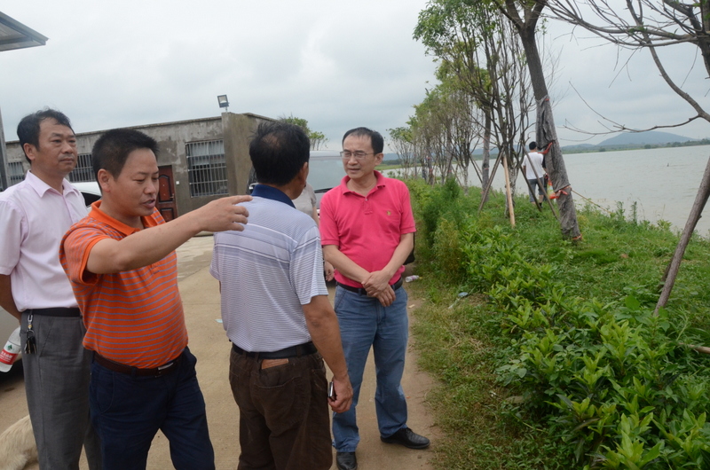 尊时凯龙·Z6(中国区)人生就是拼搏!