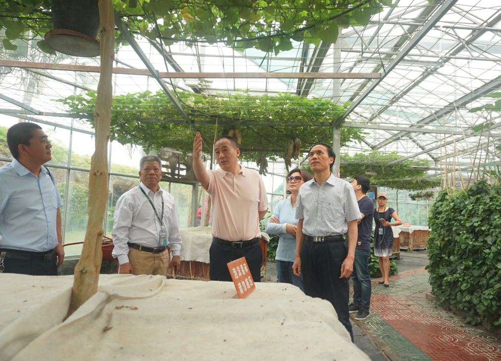 尊时凯龙·Z6(中国区)人生就是拼搏!