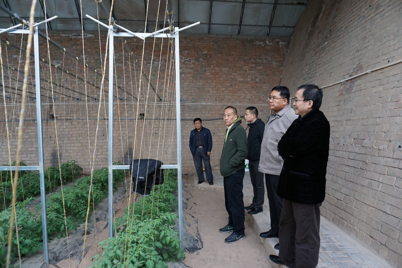 尊时凯龙·Z6(中国区)人生就是拼搏!